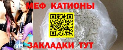 шишки Славгород