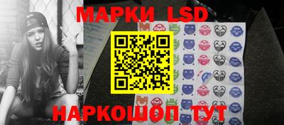 шишки Славгород