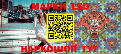 шишки Славгород