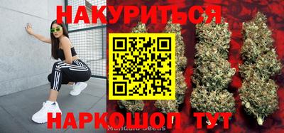 PSILOCYBIN Сланцы