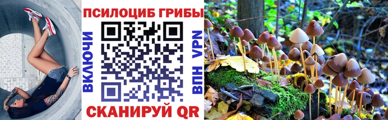 Псилоцибиновые грибы мухоморы  купить наркотики сайты  Сегежа 