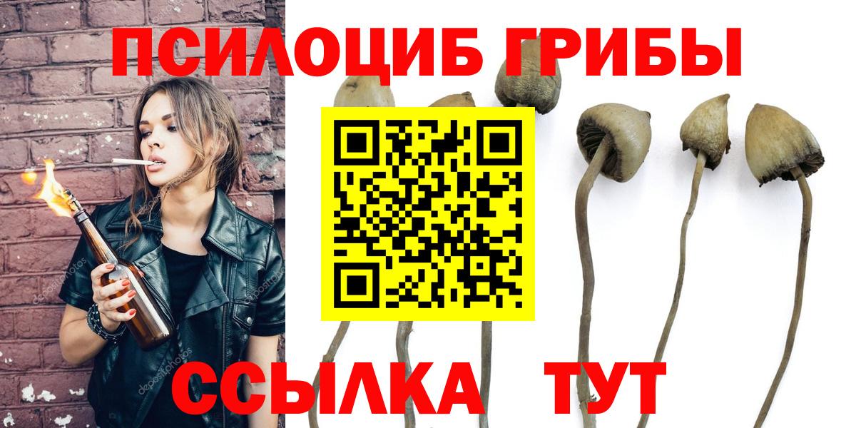 Псилоцибиновые грибы Cubensis  где найти   Сегежа  Вход с VPN 